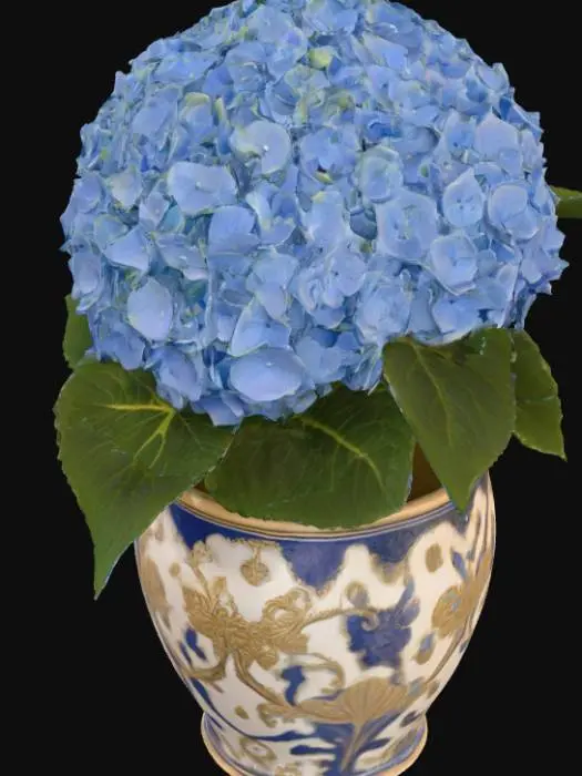 3D model for A blue hydrangea in an ornate ceramic pot