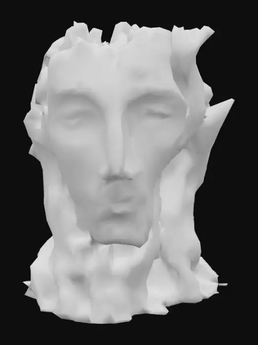 3D model for Driftwood Face, #PBR#