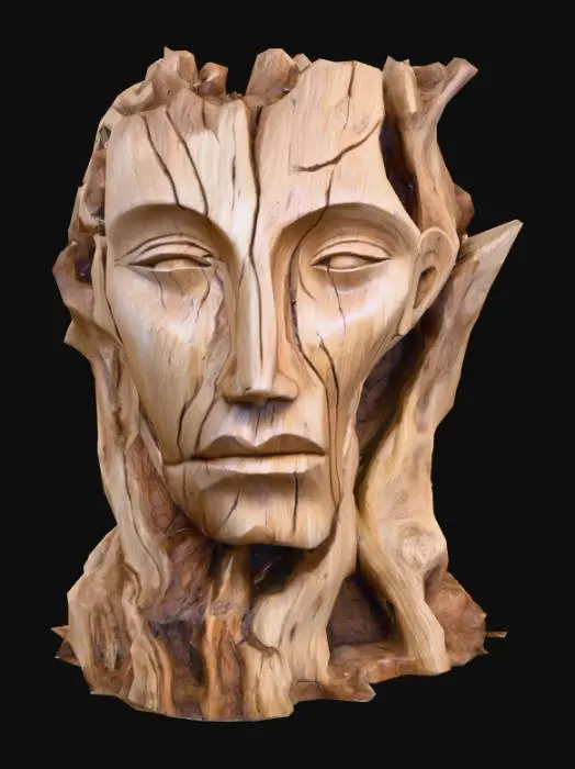 3D model for Driftwood Face, #PBR#