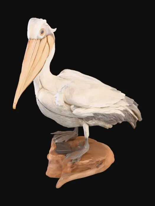3D model for Pelican Sculpture, #PBR#