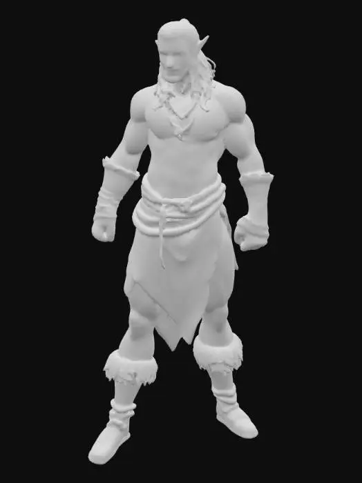 3D model for A half-elf DND monk