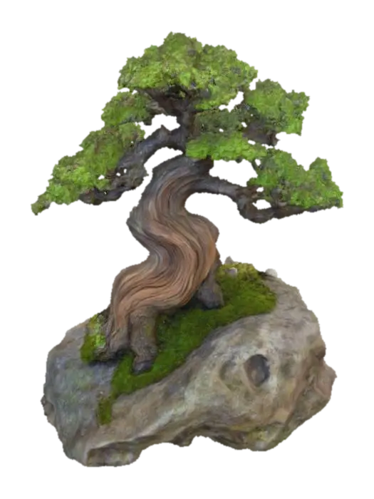 Serene Bonsai oleh aliki — dibuat dengan generator 3D Meshy AI, unduh gratis FBX OBJ GLB STL