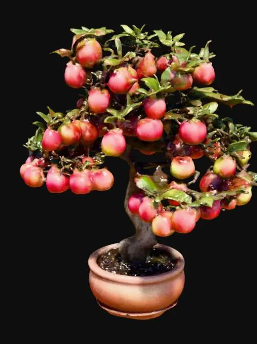 3D model for Pomegranate Bonsai Beauty, #PBR#