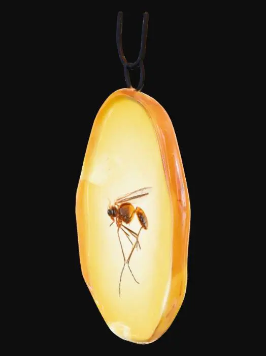 3D model for A mosquito caught in a translucent oval shaped chunk of amber 