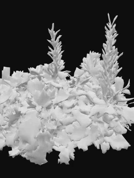 3D model for Parsley, sage, rosemary and thyme...