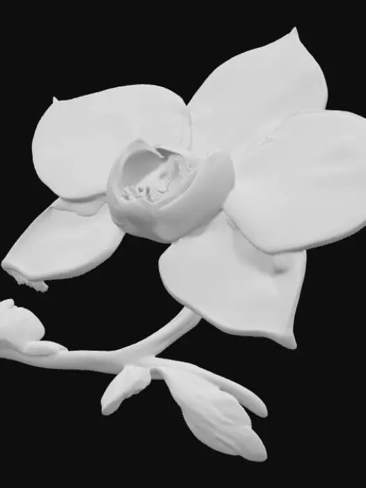3D model for A high resolution opaline orchid brooch 