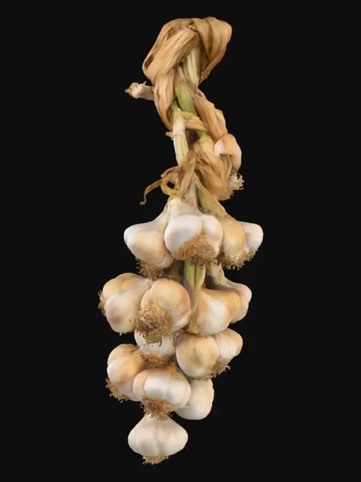 3D model for Braided Garlic Display, #food#
