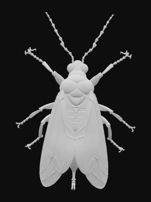3D model for Jewel Tapestry Insect