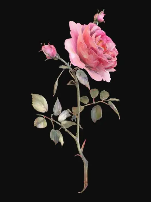 3D model for Blossoming Serenity