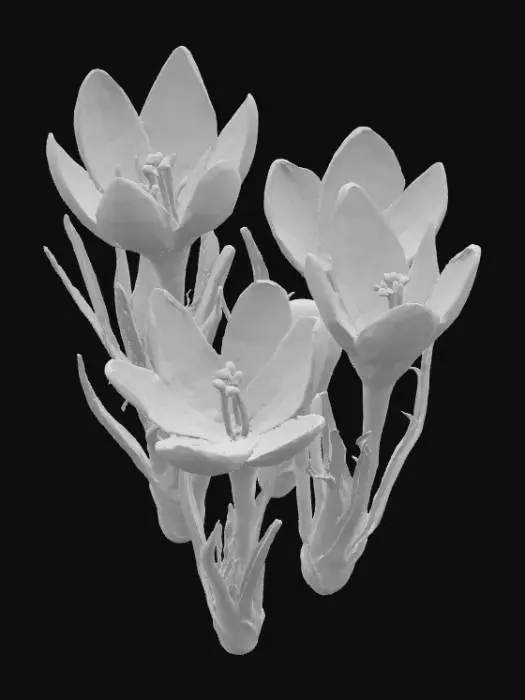 3D model for Raindrop Blossoms