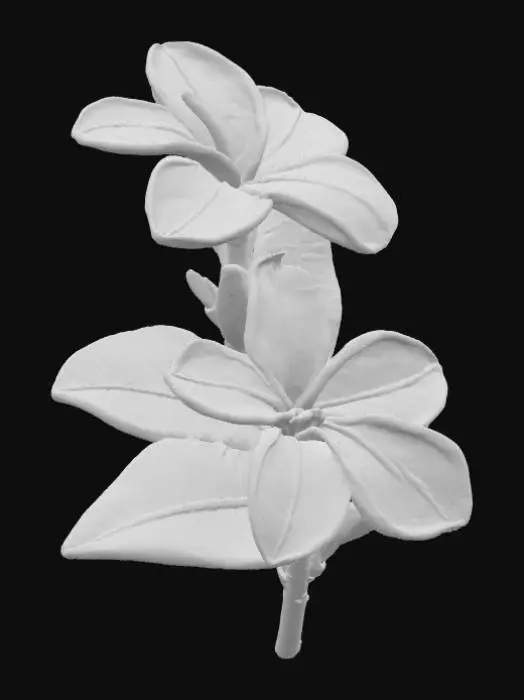 3D model for Tropical Blooms
