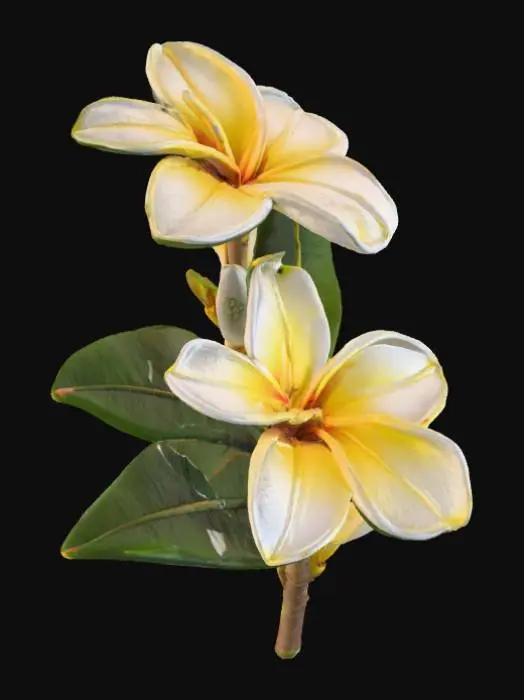 3D model for Tropical Blooms