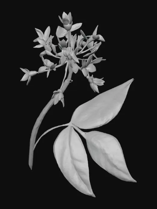 3D model for Blue Blossom Whisper