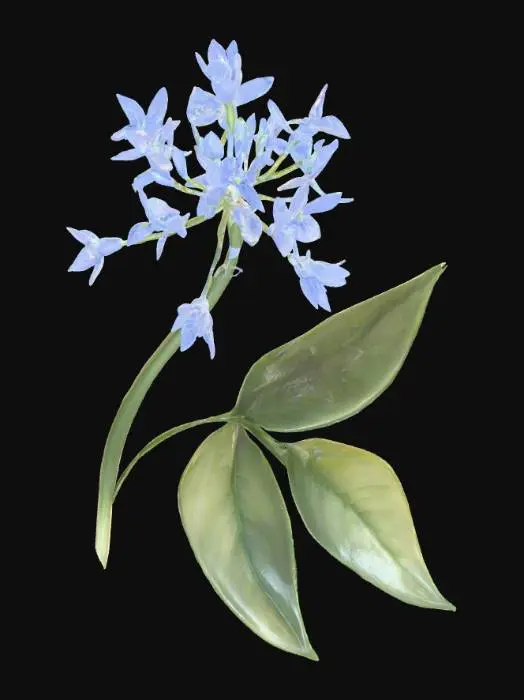 3D model for Blue Blossom Whisper