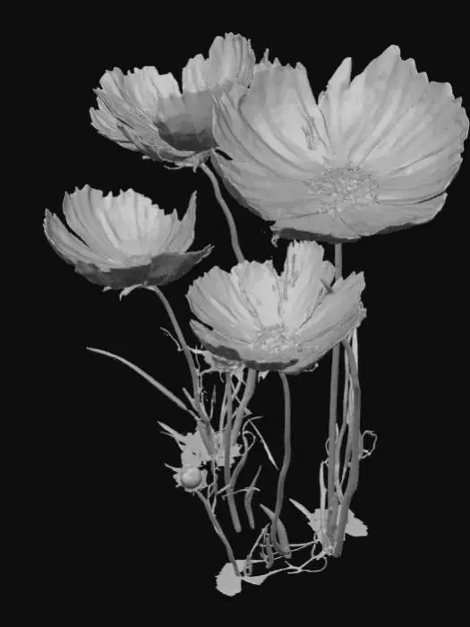 3D model for Spring Blossoms