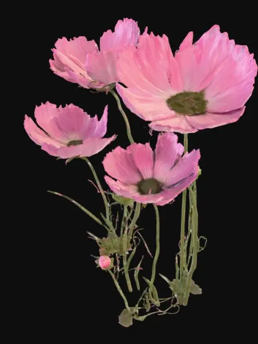 3D model for Spring Blossoms