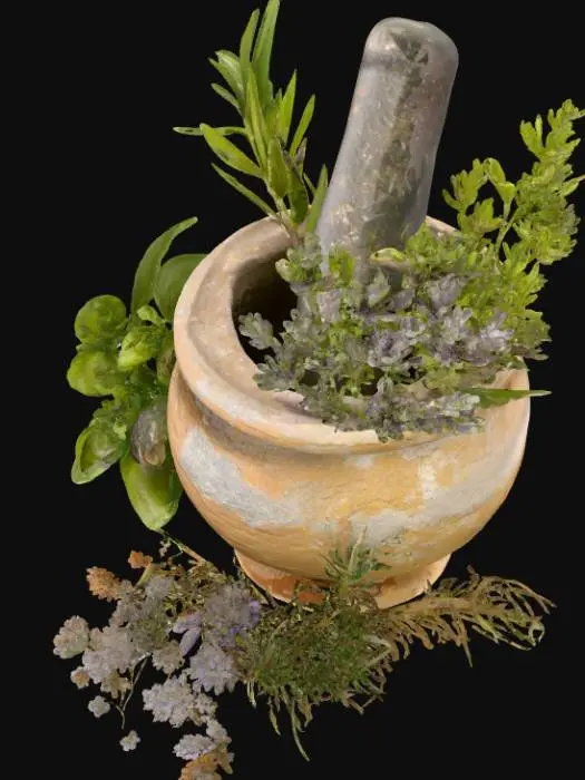 3D model for Herbal Blend