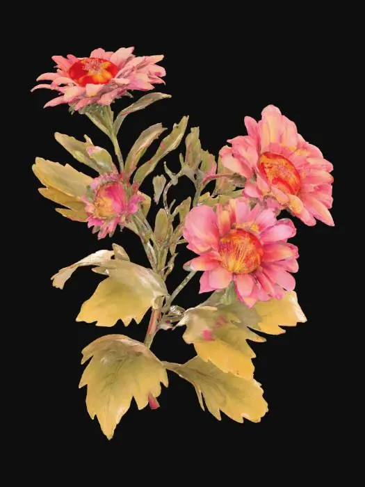 3D model for Aster Elegance