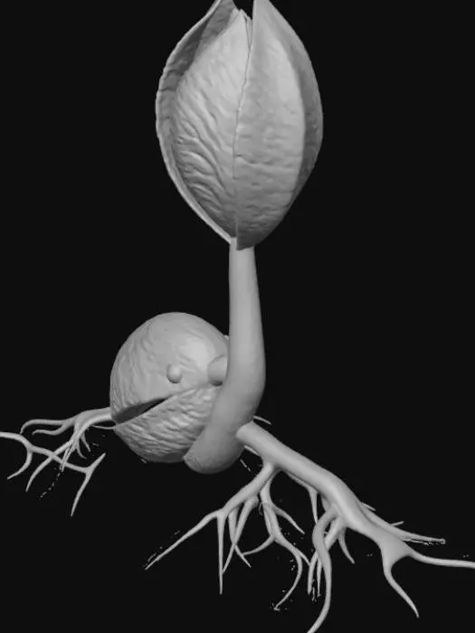 3D model for Sprout Awakening