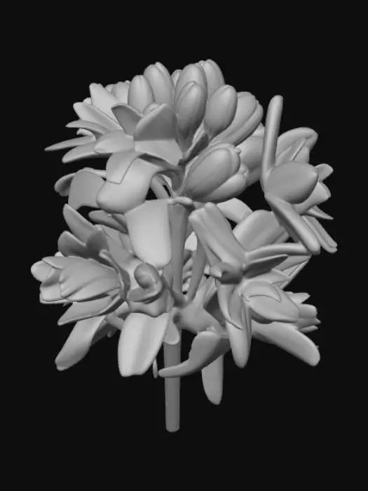 3D model for White Tuberose Bloom
