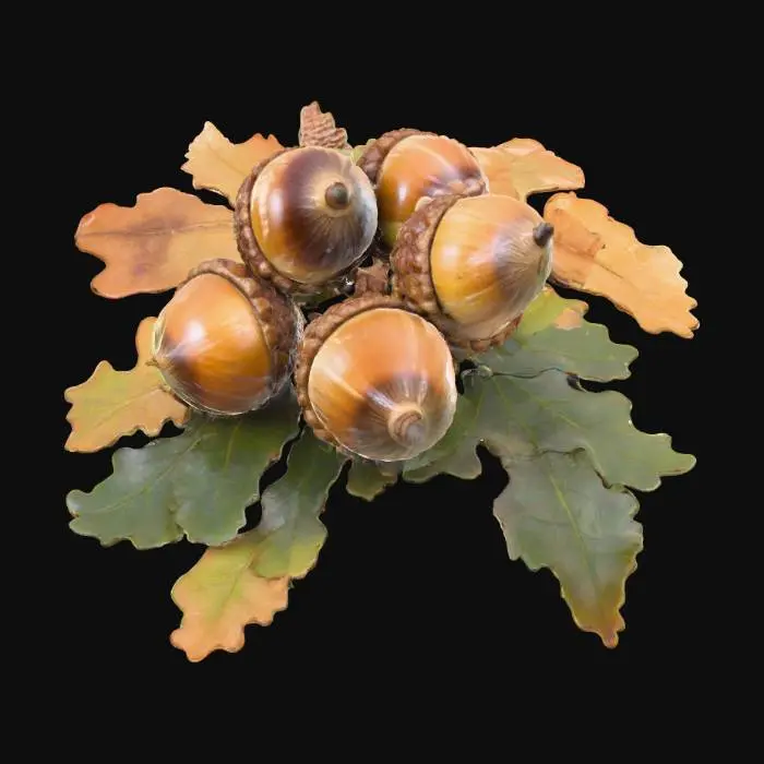 3D model for Autumn Acorns and Leaves