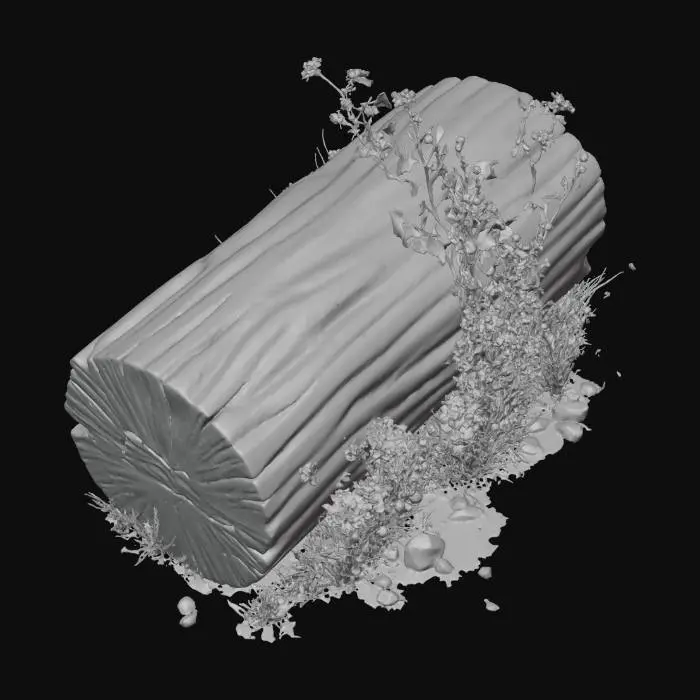 3D model for Nature's Resting Spot