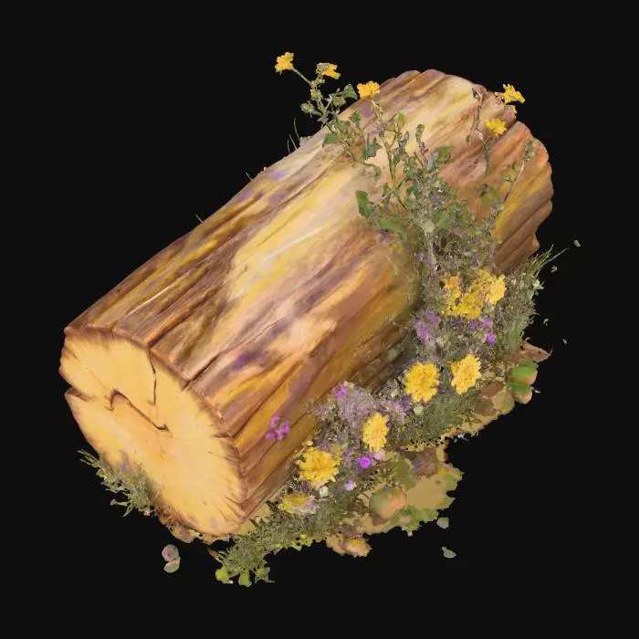 3D model for Nature's Resting Spot