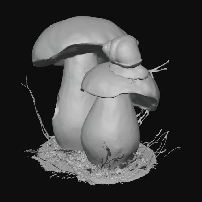 3D model for Snail's Journey