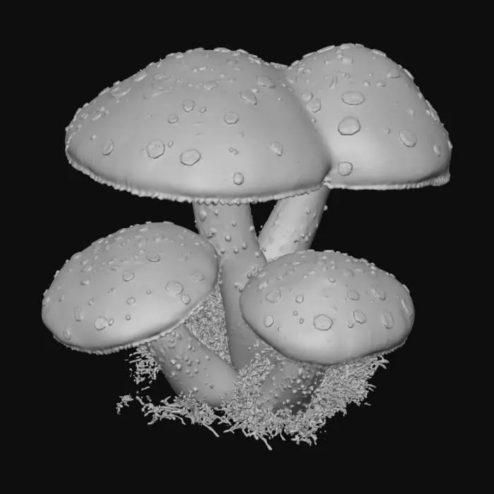 3D model for Enchanted Mushrooms