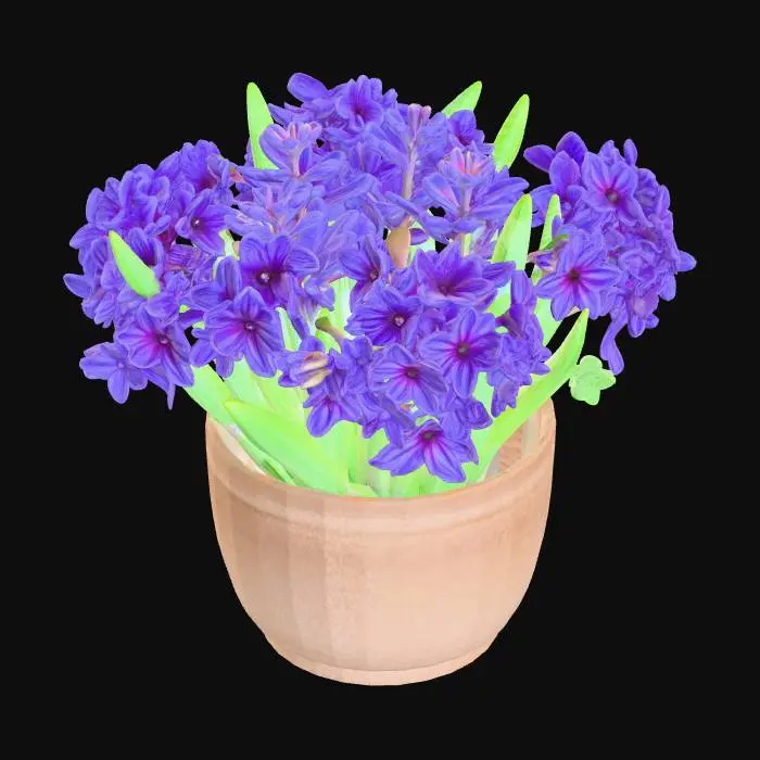 3D model for Purple hyacinths in ceramic pot, photorealistic