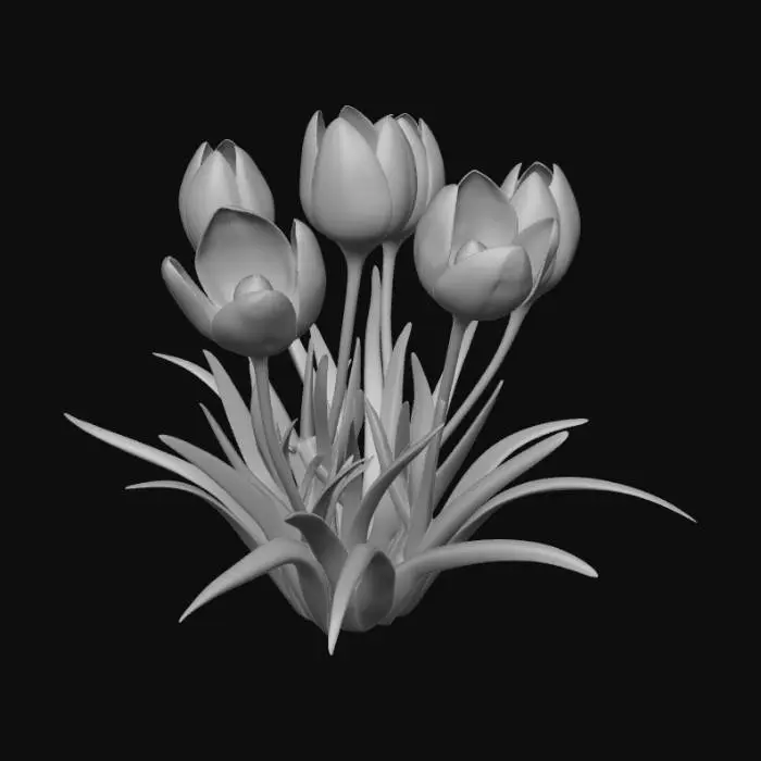 3D model for Purple Crocuses in Snow