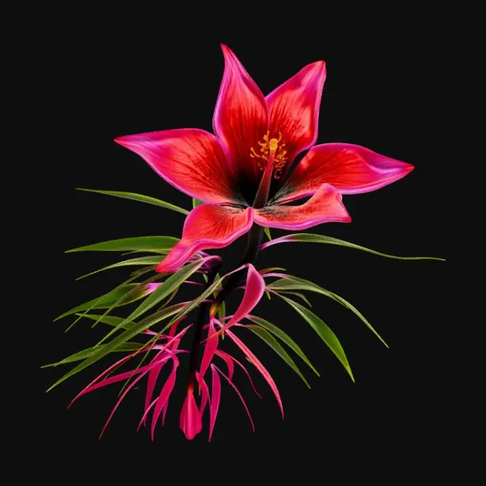 3D model for Carnal flower