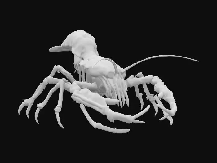 3D model for A lobster made of skeletal bone, with dark red and black poisonous shell patterns, horrifying monstrosity creature. Inspired by Lovecraftian Horror. 