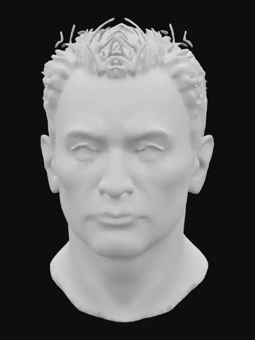 3D model for Elon Musk, High detail Head Bust. 