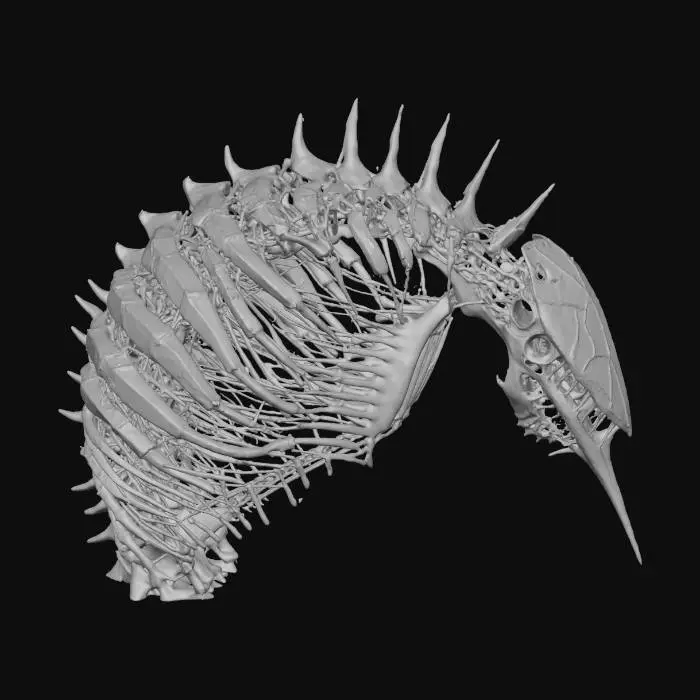 3D model for A massive, alien rib cage, half-submerged in gritty soil, curves into a grotesque, elegant arc, its individual ribs tapering into sharp, almost needle-like points. Portions are fused with what appears to be petrified chitinous plating, crumbling at the edges, revealing an inner network of calcified tubes and conduits, a terrifyingly artistic, HR Giger-esque monument to a long-dead leviathan. #Halloween2025#