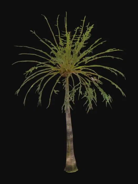 3D model for Villa Palm 2