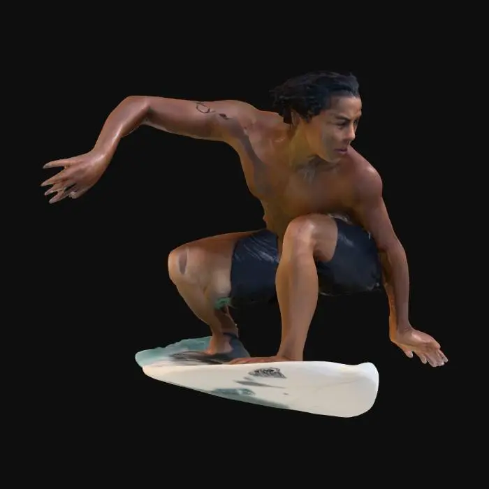 3D model for Surfer's Ride