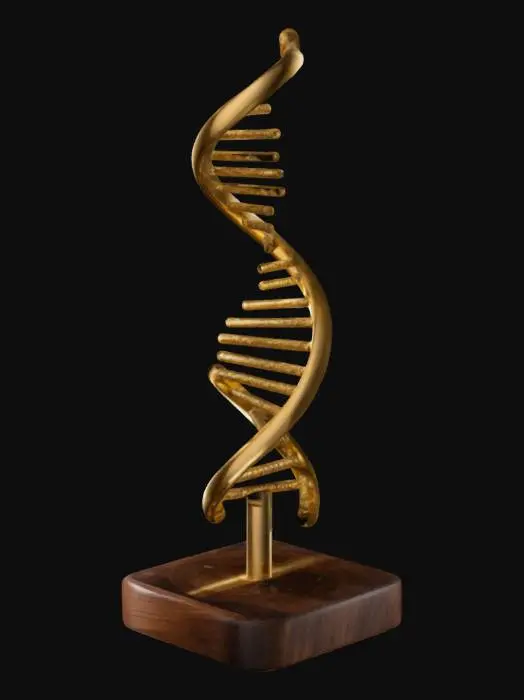 3D model for DNA on stand