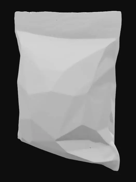 3D model for Una bolsa termosellada con un rectangulo de papel en su interior