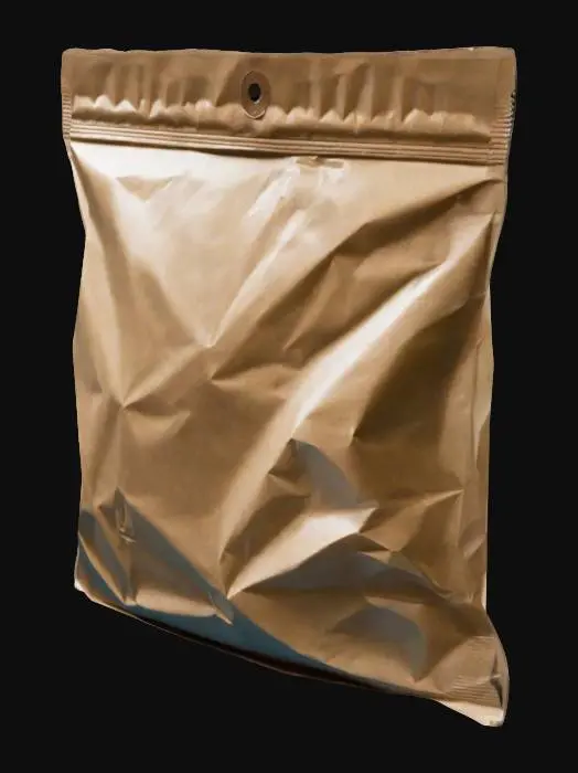 3D model for Una bolsa termosellada con un rectangulo de papel en su interior