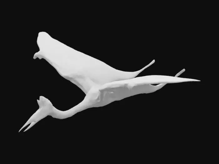3D model for Pterosaur Soaring
