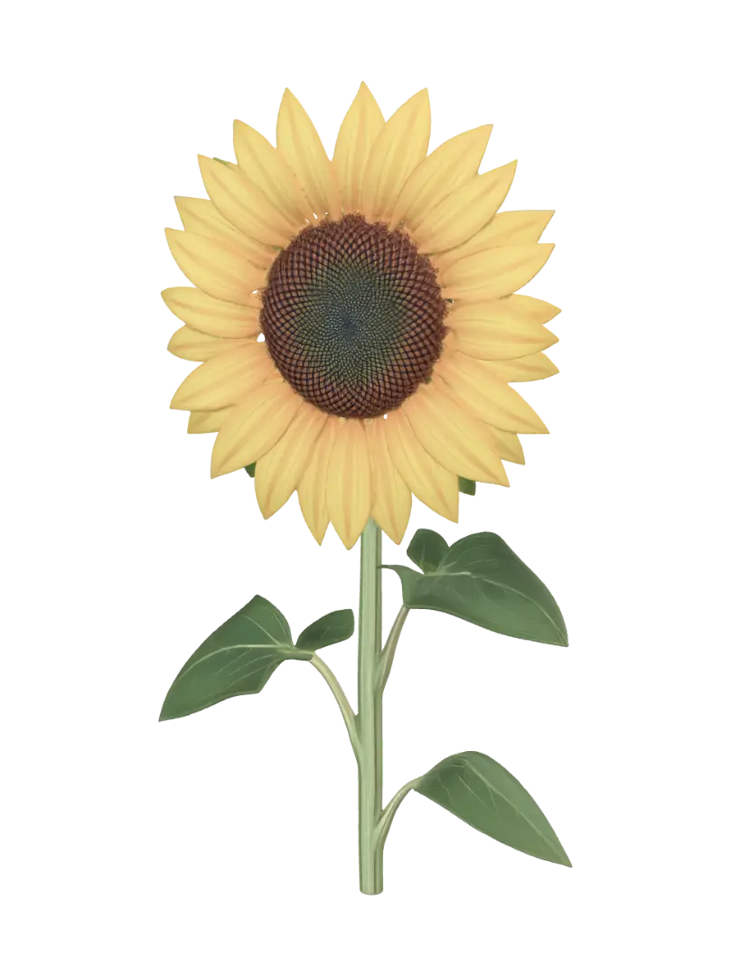 Sunflower - Stem 3D model, vytvořený pomocí AI