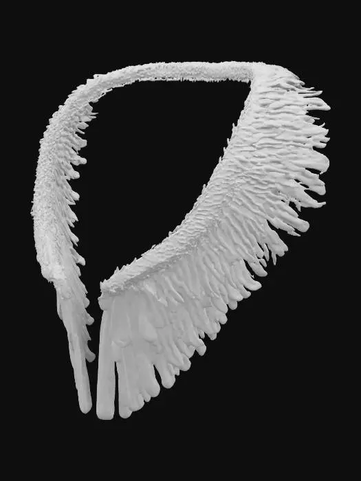 3D model for Golden Feather Torque