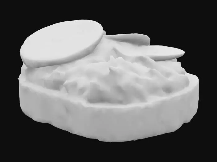 3D model for A small, perfectly toasted square of rustic sourdough bread, crust dark golden brown with rough texture and visible air pockets. Spread evenly with mashed avocado—vibrant light green with creamy matte texture—and topped with thin slices of radish that are translucent white with bright pink edges and a slight gloss.