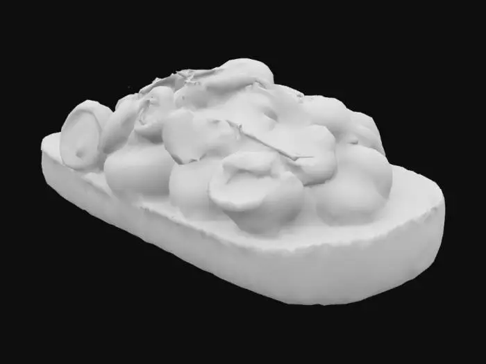 3D model for A triangular toast point, dark golden with visible grain and crisp edge texture. Piled with a mix of wild mushrooms—chanterelles, cremini, oyster—lightly sautéed, matte with slight browning and glistening at the edges. Finished with a shaving of Parmesan and micro thyme.