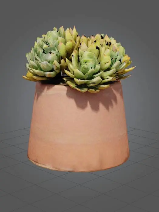 3D model for Succulent Serenity