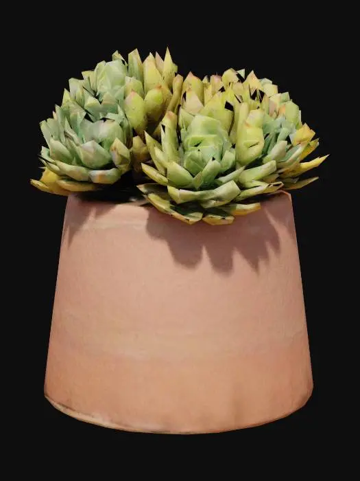 3D model for Succulent Serenity