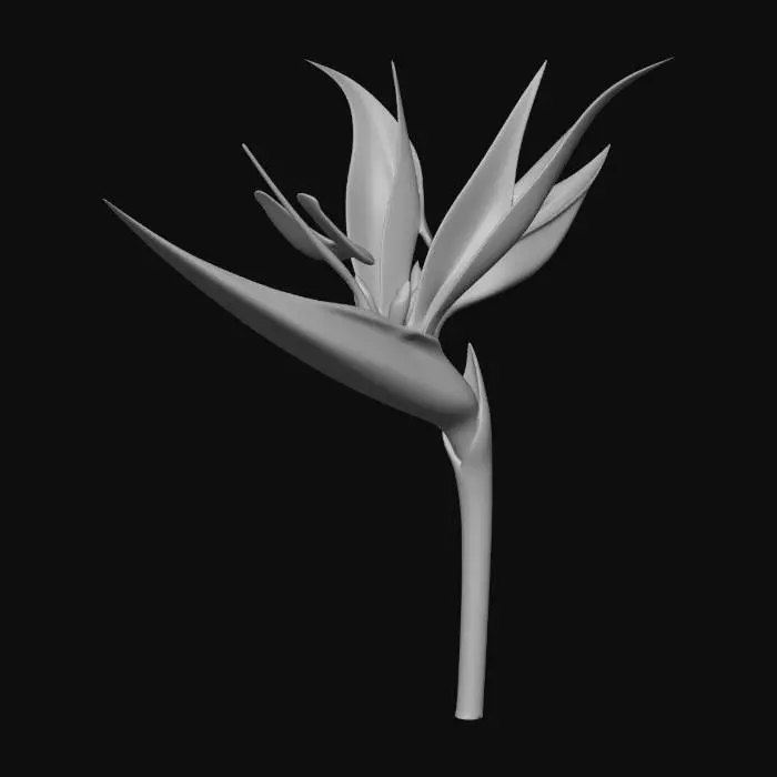 3D model for flower