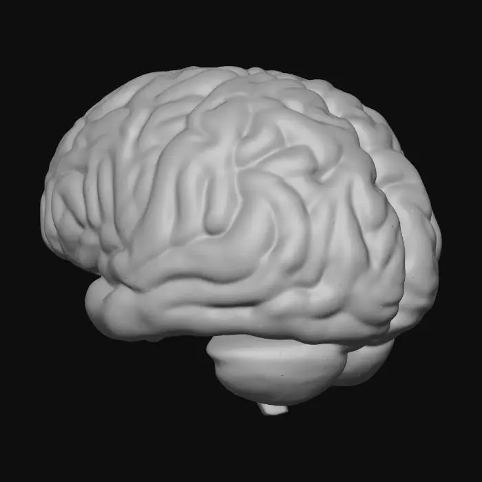 3D model for Glowing Brain Concept