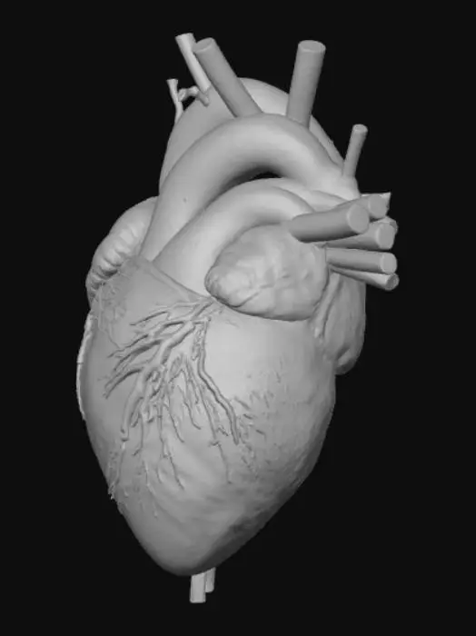 3D model for generate me a black realistic heart with electrick cables at the pump tubes of the heart
